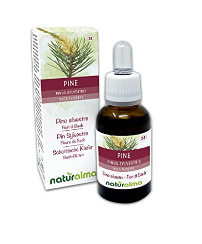 Pine o Pino silvestre (Pinus sylvestris) Flores de Bach Naturalma | No. 24 | Gotas 30 ml | Extracto líquido sin alcohol | Esencias florales | Vegano y libre de alcohol