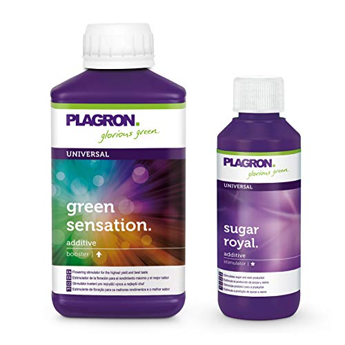 Plagron Green Sensation 250 ml y Sugar Royal 100 ml con código de acción.