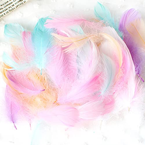 Plumas de cisne de plumas de cisne de color blanco rosa, plumas de ganso naturales flotantes para cajas de regalo, suministros de relleno de bricolaje decoración del hogar de la boda -B11