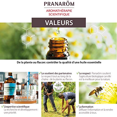 Pranarôm Aceite esencial Romero qt cineol Bio, Respiración, Purificador, Difusión atmosférica, 10 ml