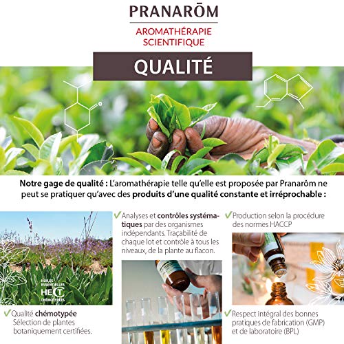 Pranarôm Aceite esencial Romero qt cineol Bio, Respiración, Purificador, Difusión atmosférica, 10 ml