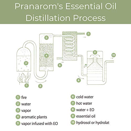 Pranarom - Mezcla de aceites esenciales de samaritano (5 ml) – Aceite esencial 100% puro de grado terapéutico natural para difusión y limpieza | Certificado orgánico USDA y ECOCERT