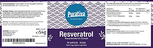 Purativa Extracto de Fallopia japonica - 10% de resveratrol - 90 cápsulas - 500 mg - Polygonum cuspidatum - llenada en Alemania - 100% vegana