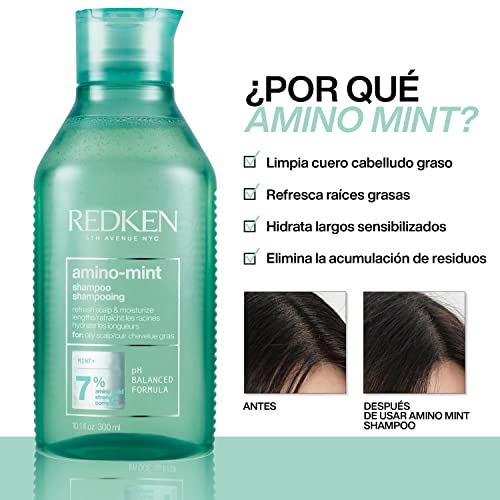 Redken | Champú de Menta Anti Grasa, Limpia y purifica el cabello graso y largos sensibilizados, Refresca las raíces y No aporta peso, Amino Mint, 300 ml