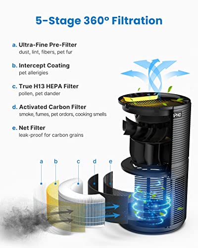 RENPHO Purificador de Aire para Hogar con Filtro HEPA y Carbón Activado, 3 Velocidades, Luz Nocturna, Temporizador, Aire Filtro Capturar 99,97% de Alergias, Polen, Humo, Olor y Caspas de Mascota