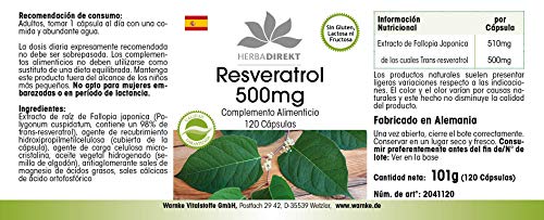 Resveratrol 500mg – Extracto de Fallopia japonica – Vegano – 120 cápsulas