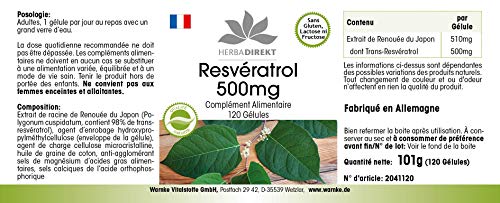 Resveratrol 500mg – Extracto de Fallopia japonica – Vegano – 120 cápsulas