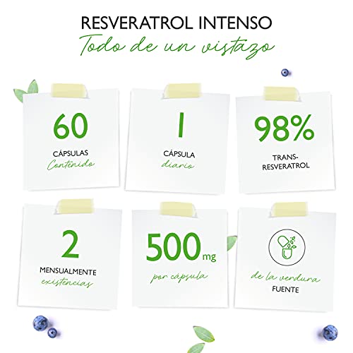 Resveratrol con 500 mg por cápsula - Premium: 98% Trans-Resveratrol de extracto de raíz de nudosa japonesa - 60 cápsulas - Altamente dosificado - Vegano