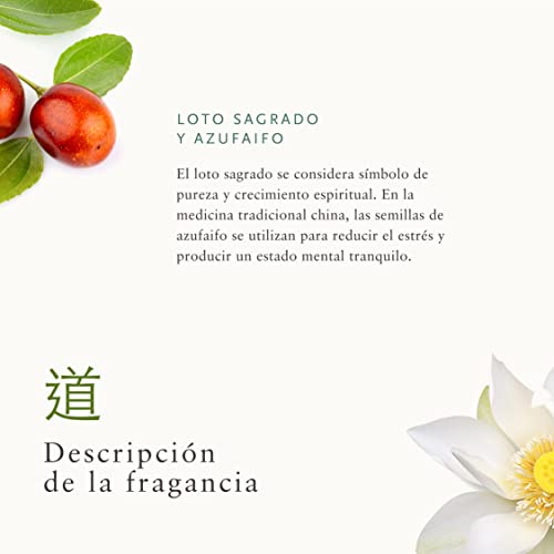 RITUALS Cesta Regalo para Mujeres del Ritual of Jing, Tamaño Mediano - Con Loto Sagrado, Azufaifa y Menta China - Propiedades Relajantes y Calmantes