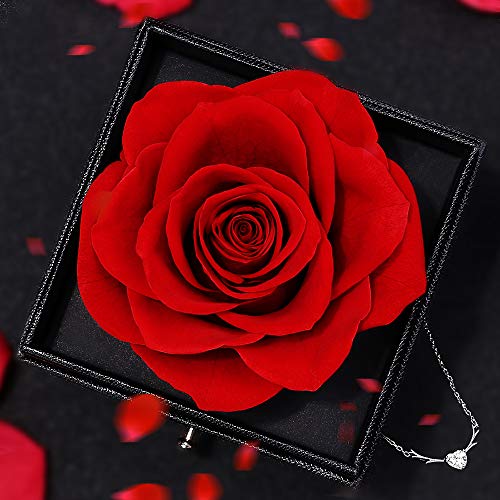 Rosa Eterna, Regalo San Valentin Mujer,Preservadas Flores con Caja de Joyería Romántico Rosa Roja Caja de Almacenamiento Aniversario Regalo para Esposa Madres Boda Cumpleaños Navidad