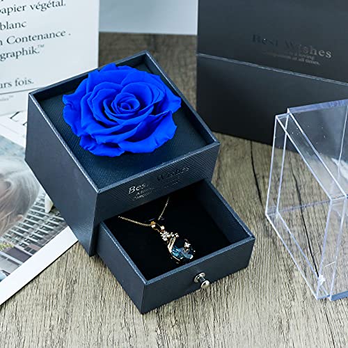 Rosa Preservada con Collar, Hecha a Mano Rosa Eterna, Regalo para Mujer para Día de la Madre/San Valentín/Aniversario Bodas/Cumpleaños - Ella/Novia/Esposa/Mamá