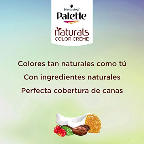 Schwarzkopf Palette Naturals - Tinte 5.6 cabello Castaño Nuez - Coloración Permanente – Perfecta cobertura de canas – Colores increíblemente naturales (Pack de 5)