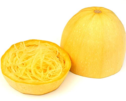 Semillas de Calabaza Espagueti (Squash Makaronowa Warszawska) - Cucurbita pepo - 16 semillas