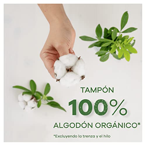 Tampax Cotton Protection regular con aplicador 16 X, tampones de algodón orgánico de Tampax