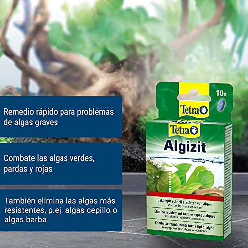 Tetra Algizit(10 pastillas), combate eficazmente todo tipo de algas