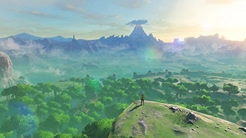 The Legend Of Zelda: Breath Of The Wild - Edición Estándar