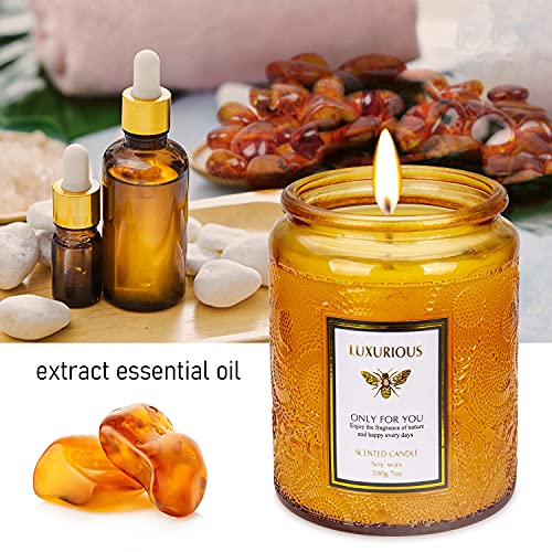 Velas Perfumadas Kasimir Vela Aromatica vela perfumada de olor cítricos y cedro Velas de Vidrio 100% Cera de Soja Natural 45 Horas Aromaterapia Decoración para Relajación Fiesta Baño Yoga Regalos