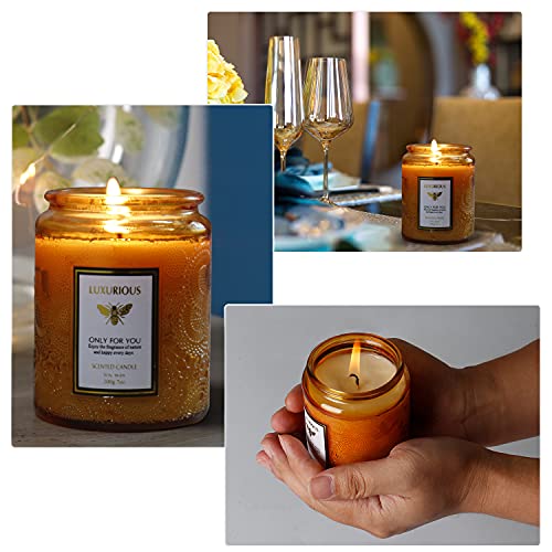 Velas Perfumadas Kasimir Vela Aromatica vela perfumada de olor cítricos y cedro Velas de Vidrio 100% Cera de Soja Natural 45 Horas Aromaterapia Decoración para Relajación Fiesta Baño Yoga Regalos