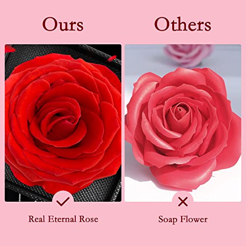 Viosmut Juego de Rosa Eterna, Flores Preservadas Caja de Joyería con Cadena, Rosa Eterna Natural para el día de San Valentín Día de la madre Boda Cumpleaños Aniversario Día de Navidad Regalo Romántico