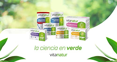 Vitanatur - Vital-Energy+. Complemento Alimenticio a Base de Magnesio, Ashwagandha y Vitaminas B5 y D - Bote con 120 Cápsulas