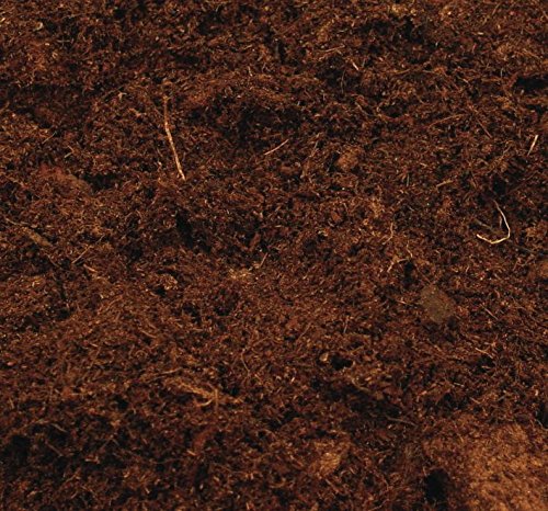 Weedness Canna Terra Professionell 50 litros - Tierra para macetas Crecen Plantas de balcón Tierra para macetas Tierra de jardín Tierra de Tomate