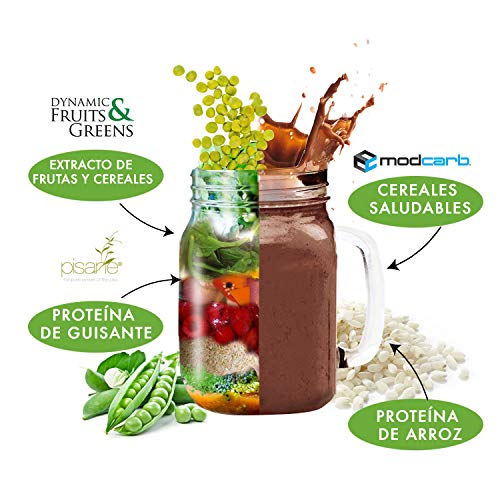 Weider-Vegan Protein- Proteína 100% vegetal de guisantes (PISANE) y arroz. Sin gluten. Sin lactosa. Sin aceite de palma (750 g). Sabor Chocolate