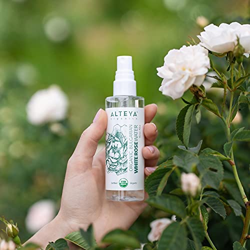 Alteya Organic agua floral rosa blanca 100 ml – spray - USDA producto certificado puro y autentico, destilada al vapor de flor de rosa Alba vendida directamente por el productor propio Alteya Organics