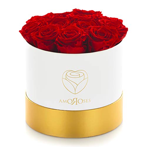 Amoroses 12 rosas reales estabilizadas que duran años - Flores preservadas Ideas para regalos, Rosas Eternas para Ocasiones Especiales (Caja Blanca con Rosas Rojas)