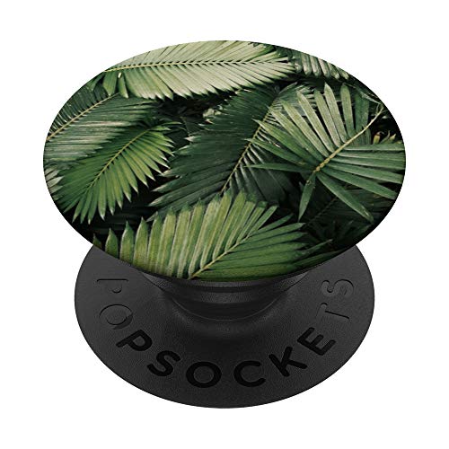 BOTÁNICOS DE FLOR DE PALMA VERDE PopSockets PopGrip Intercambiable