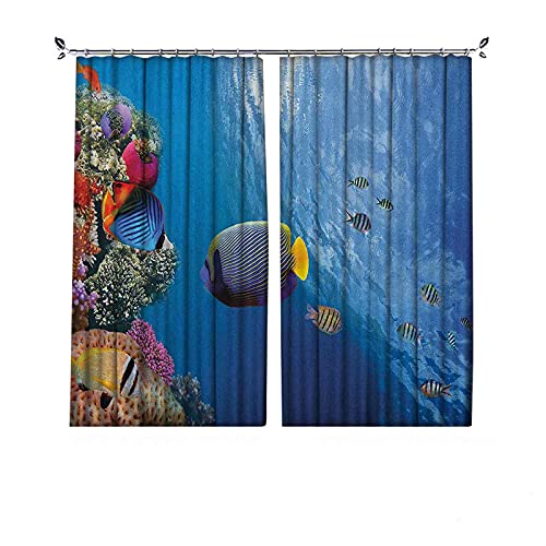 Cortinas plisadas con textura bajo el mar, Tropical Emperor Long Living Angelfish in Underwater Exotic Marine Animal Image, adecuado para puertas correderas de vidrio, ventanas de cocina, ancho 200 x