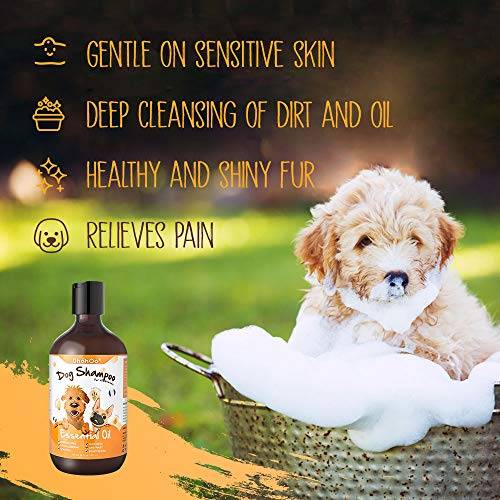 Dhohoo Champú para Perros para Alergias y Picazón con Aceite Esencial, Ingredientes Naturales Champú para Perros con Olor, Alivio de la Piel Seca con Picazón, Crecimiento del Pelo Sano(473ml)