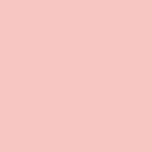 Fleur Paint 12081 - Pintura mineral (base agua, 130 ml) color pretty ballerina