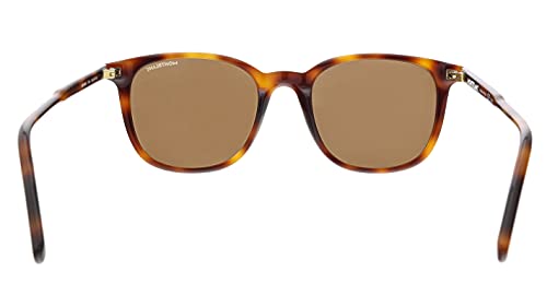 Gafas de Sol Mont Blanc MB0006S HAVANA/BROWN 52/20/150 hombre