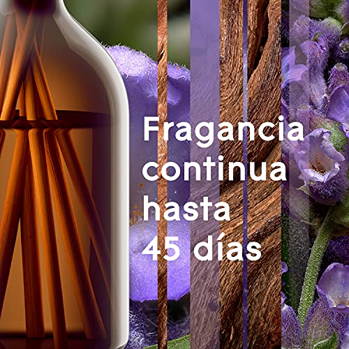 Glade Aromatherapy Varillas Fragancia Moment Of Zen, Líquido Con Aceites Esenciales, color Incoloro, 80 ml