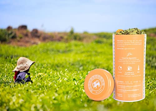 Infusión Détox Bio con hoja de moringa, jengibre, cúrcuma - a granel en lata de metal de 75 g - Agricultura ecológica certificada - Thé d'Asie de KHLA