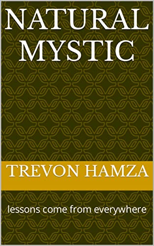 Natural Mystic: lessons come from everywhere (English Edition)