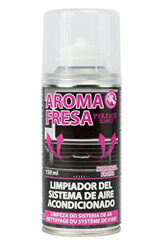 Paradise PER20010 Limpiador Fresa Aire Acondicionado, 150 ml, Color Rosa