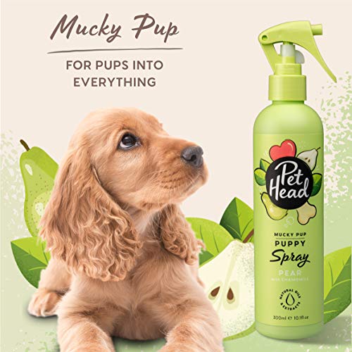 Pet Head Spray Desodorante para Cachorros, Mucky Puppy Spray para Cachorros a Partir de 8 semanas Verde