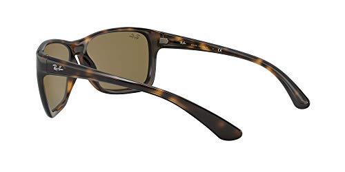 Ray-Ban 0rb4331 Lentes Oscuros, Havana/B-Classic Brown, 61/16/135 para Hombre