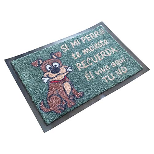 SML Felpudo de Entrada Casa, 60x40 cm |Alfombra Exterior para Puerta, Impermeable, Lavable para Atrapar Suciedad para Recibidor|Alfombrilla Antideslizante,Originales y Divertidos