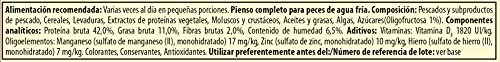 Tetra Goldfish Flakes - Alimento para todos los peces dorados y otros peces de agua fría, 1 L