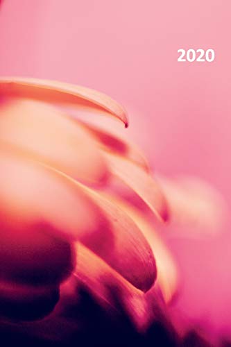 2020: Pink flower petals Elegant Planner Calendar Organizer Daily Weekly Monthly Student for notes on how to become a horticulturist