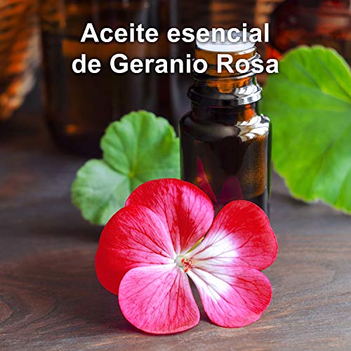 Aceite Esencial Geranio Rosa Puro 30 ml, 100% Natural y Bio | Cuidado y Salud de Piel, Cabello, Desodrante Natural | Ideal para Difusor Humidificador Ultrasónico Aromaterapia | Fabricado en Francia