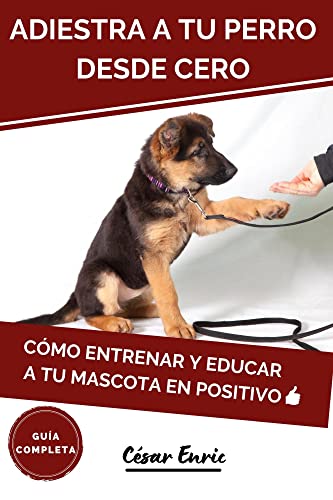 Adiestra a tu Perro Desde Cero: Cómo Entrenar y Educar a tu Mascota en Positivo. Guía Completa: Técnicas, Trucos y Habilidades para el Adiestramiento Canino de tu Cachorro