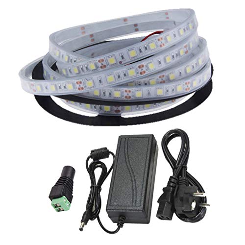 Ahorraluz Kit Tira 12v 5050 Sumergible Frio Puro (6000-6500k) + Transformador 5A Waterproof (5 Metros, 300 Leds, 60 led/m, IP67), Blanco Frío