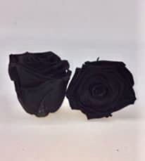 Almaflor Rosas eternas Negras. Cofre de Madera. Rosas Negras eternas. Base de Musgo preservado. Rosas preservadas Negras. Hecho en España.