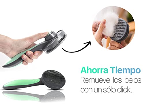 B-Home Cepillo Perros y Gatos, Peine para Mascotas Quitar y Remover el Pelo Muerto Carda con Púas Flexible de Acero Inoxidable para Desenredar y Peinar a Mascotas, Verde Claro