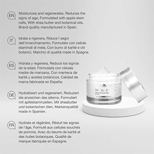 Belle Azul Crema de noche regeneradora Bio Smart - Cuidado Antiarrugas y Antiedad - Hidratante y reparadora - Celulas Madre de Manzana - Libre de Parabenos y Ftalatos - Hecho en España / 50 ml