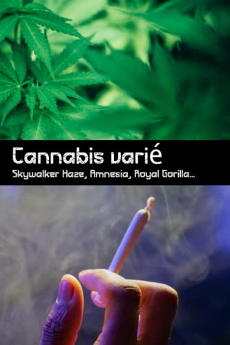 Cannabis varié - Skywalker Haze, Amnesia, Royal Gorilla: Examen de la marijuana pour un aperçu