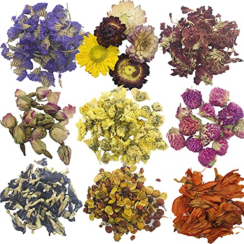 Cayway 18 Tipos de Flores Secas Naturales Flores Secas Lavanda Seca, Rosa Seca, Jazmín Seca para DIY Velas Jabón Resina Joyería Uñas Manualidades